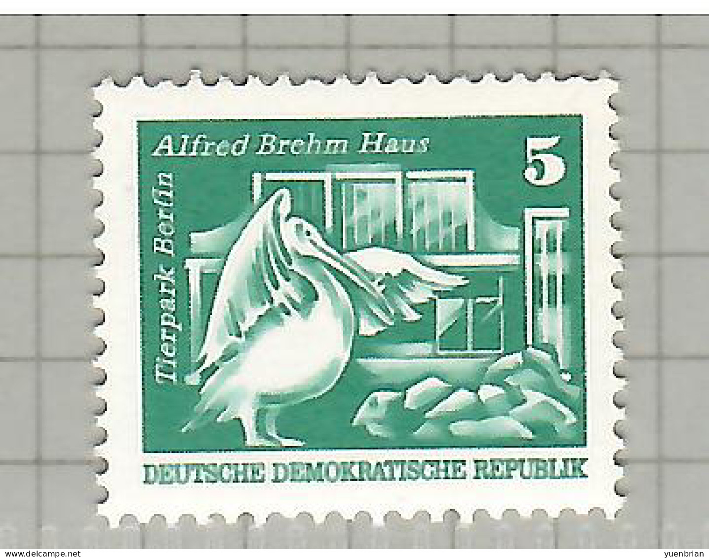 Germany, East, 1974, Bird, Birds, 1v, Pelican, MNH** - Pelícanos