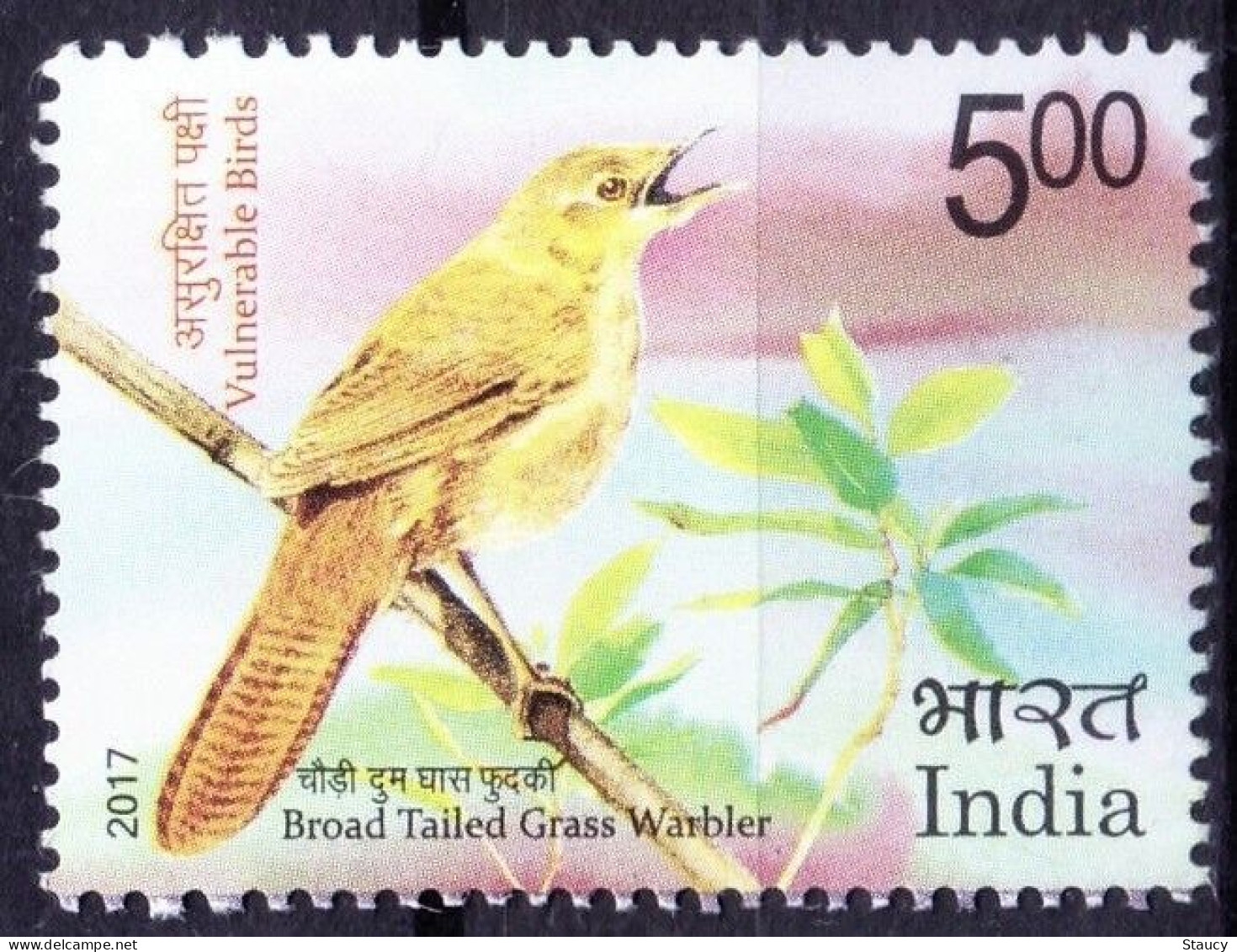 India 2017 Broad-tailed Grassbird - Vulnerable Birds Endangered Animal Species MNH - Spechten En Klimvogels