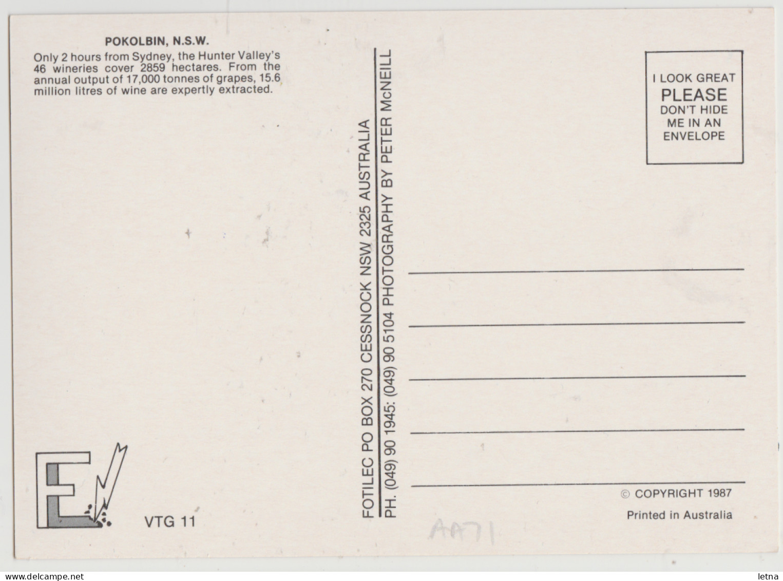 Australia NEW SOUTH WALES NSW Vineyard Grapes Hunter Valley POKOLBIN Fotilec VTG11 Postcard 1987 - Otros & Sin Clasificación