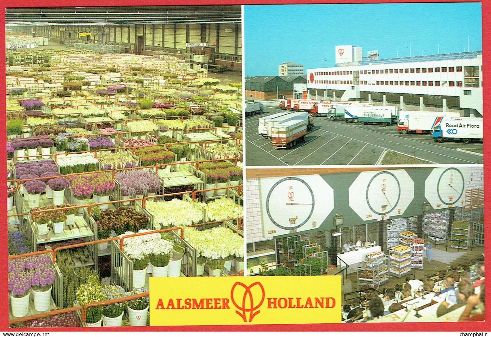 Aalsmeer - World Flower Centre - Vues Diverses Cutflower Expedition Auction - Horticulture Marché Aux Fleurs Grossiste - Aalsmeer