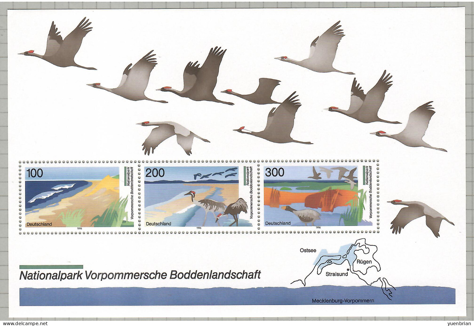 Germany, 1996, Bird, Birds, M/S Of 3v, MNH** - Zwanen
