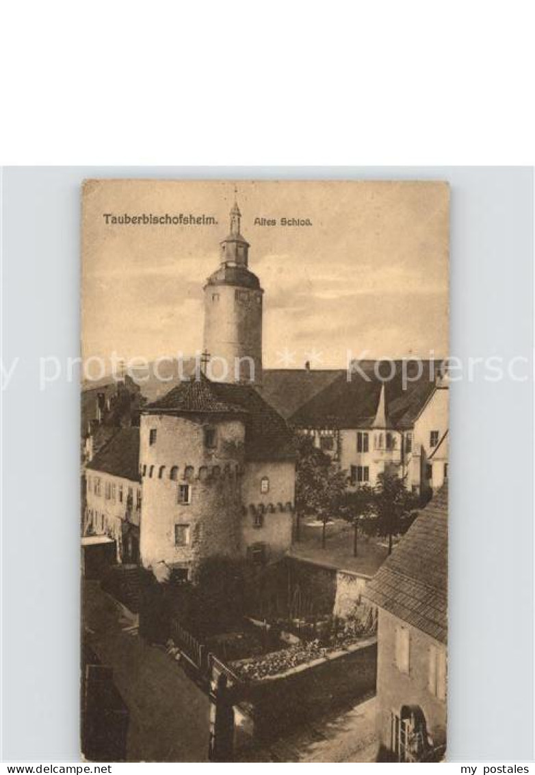 41619765 Tauberbischofsheim Altes Schloss Tauberbischofsheim - Tauberbischofsheim