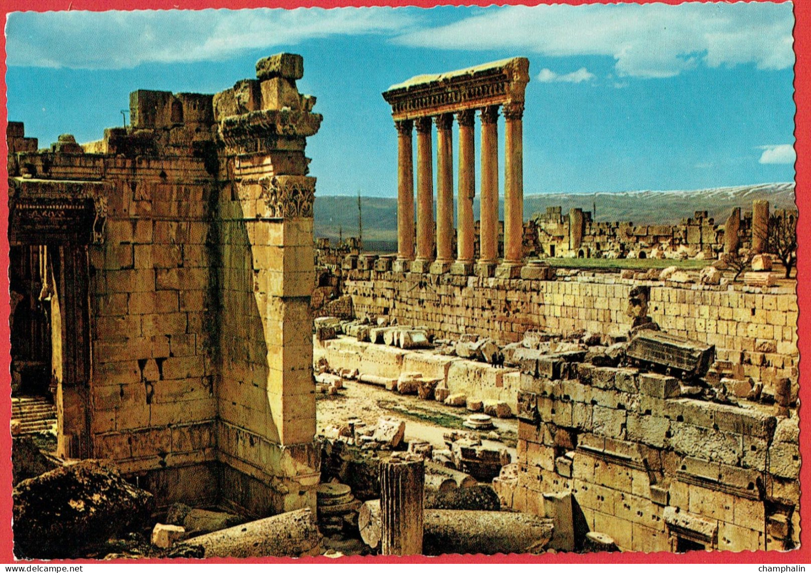 Liban - Lebanon - Baalback - Les Colonnes Du Temple De Jupiter - Pillars Of Jupiter's Temple - Liban