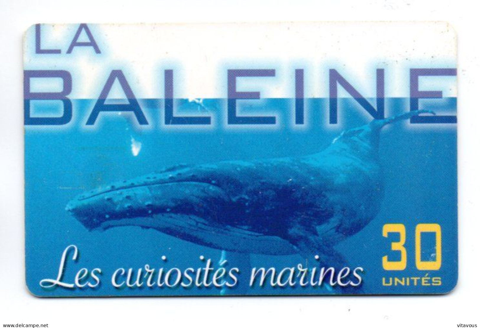 Baleine  Curiosités Marine- PF 154 -Télécarte Puce  Polynésie Tahiti Phonecard  (R 841) - Französisch-Polynesien