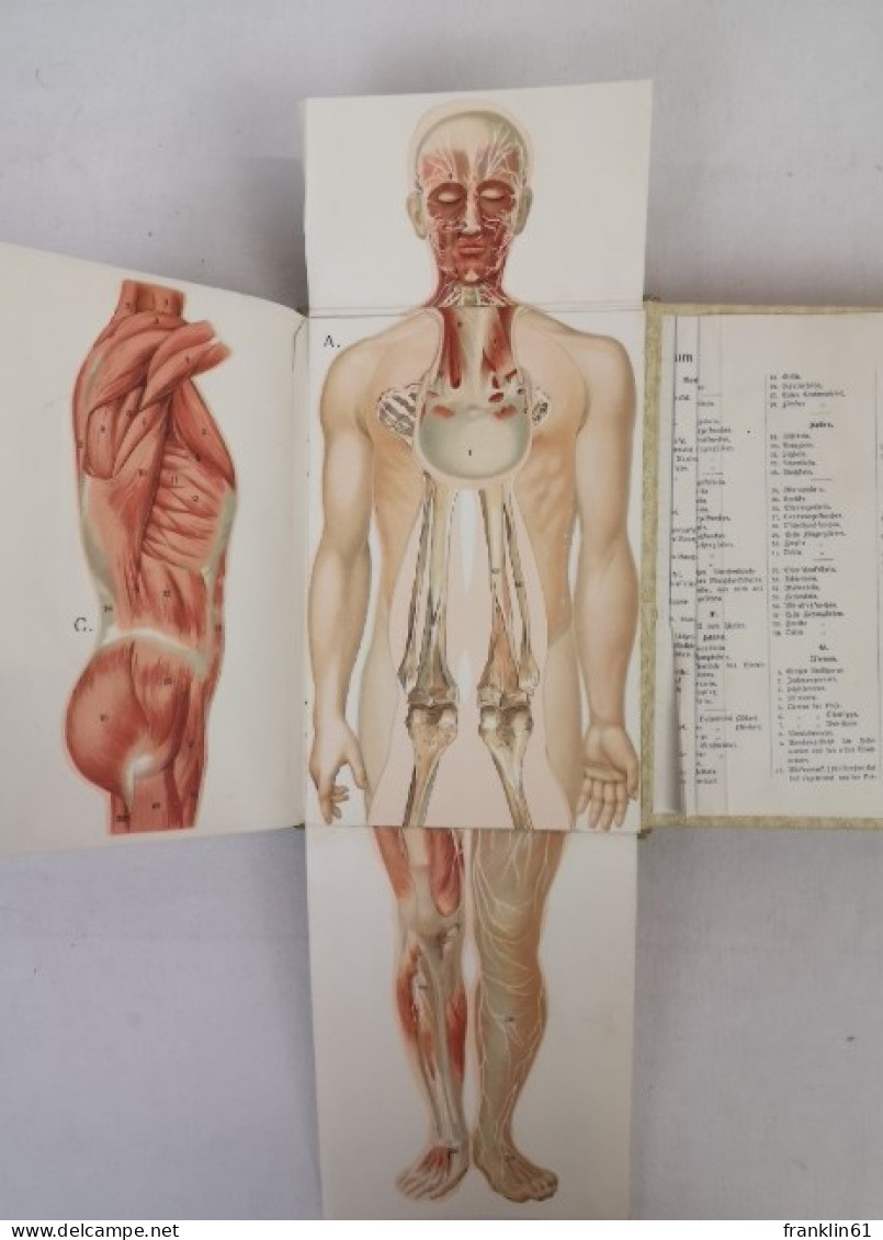 Platen Die Neue Heilmethode Lehrbuch Der Naturgemäßen Lebensweise, - Lexicons