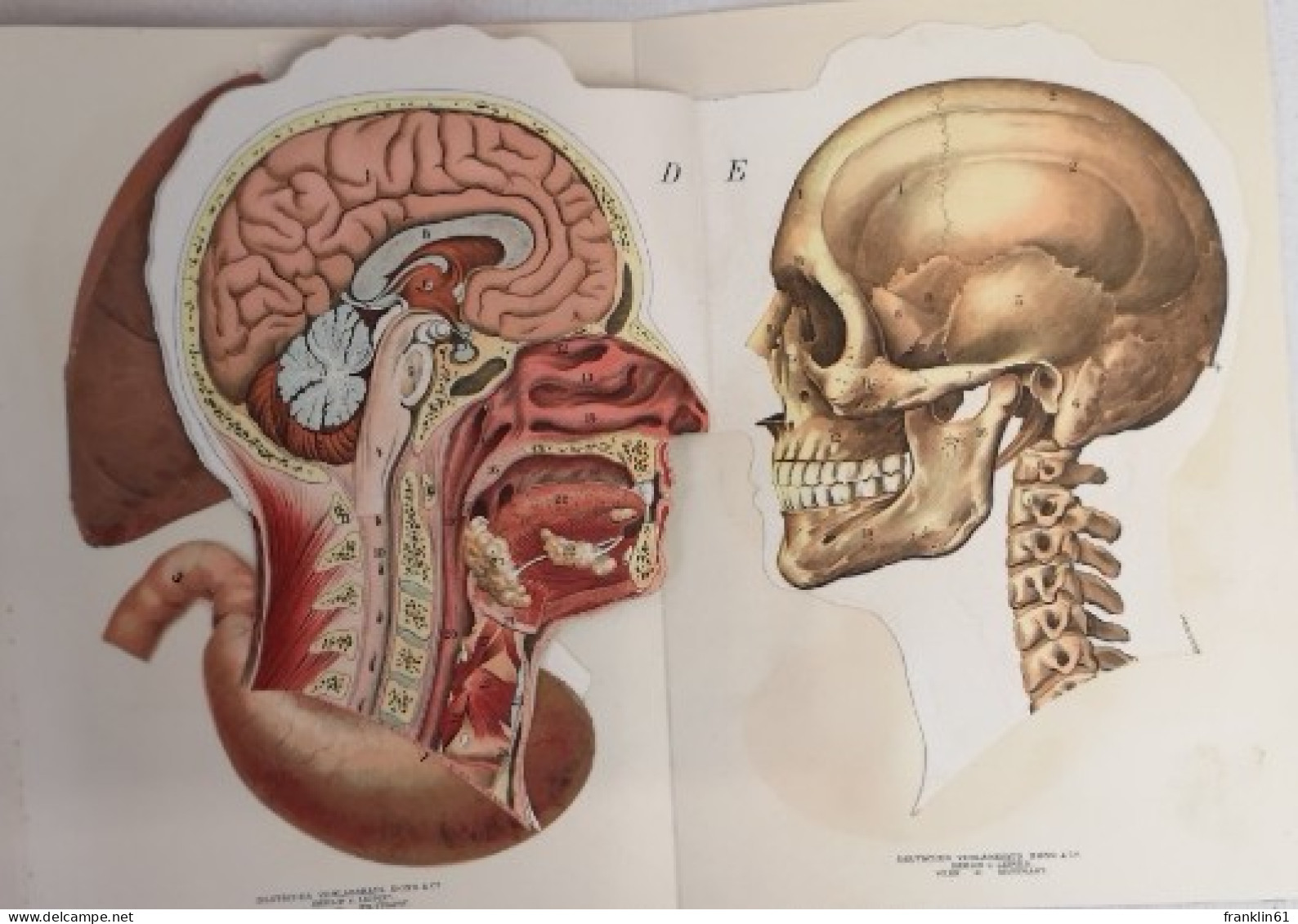 Platen die neue Heilmethode Lehrbuch der naturgemäßen Lebensweise,