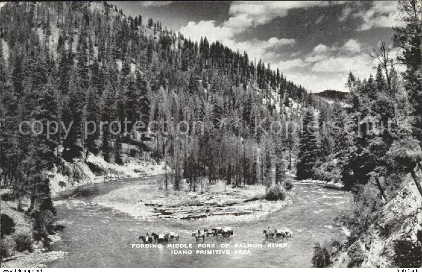 11705419 Idaho_US-State Salmon River  - Sonstige & Ohne Zuordnung