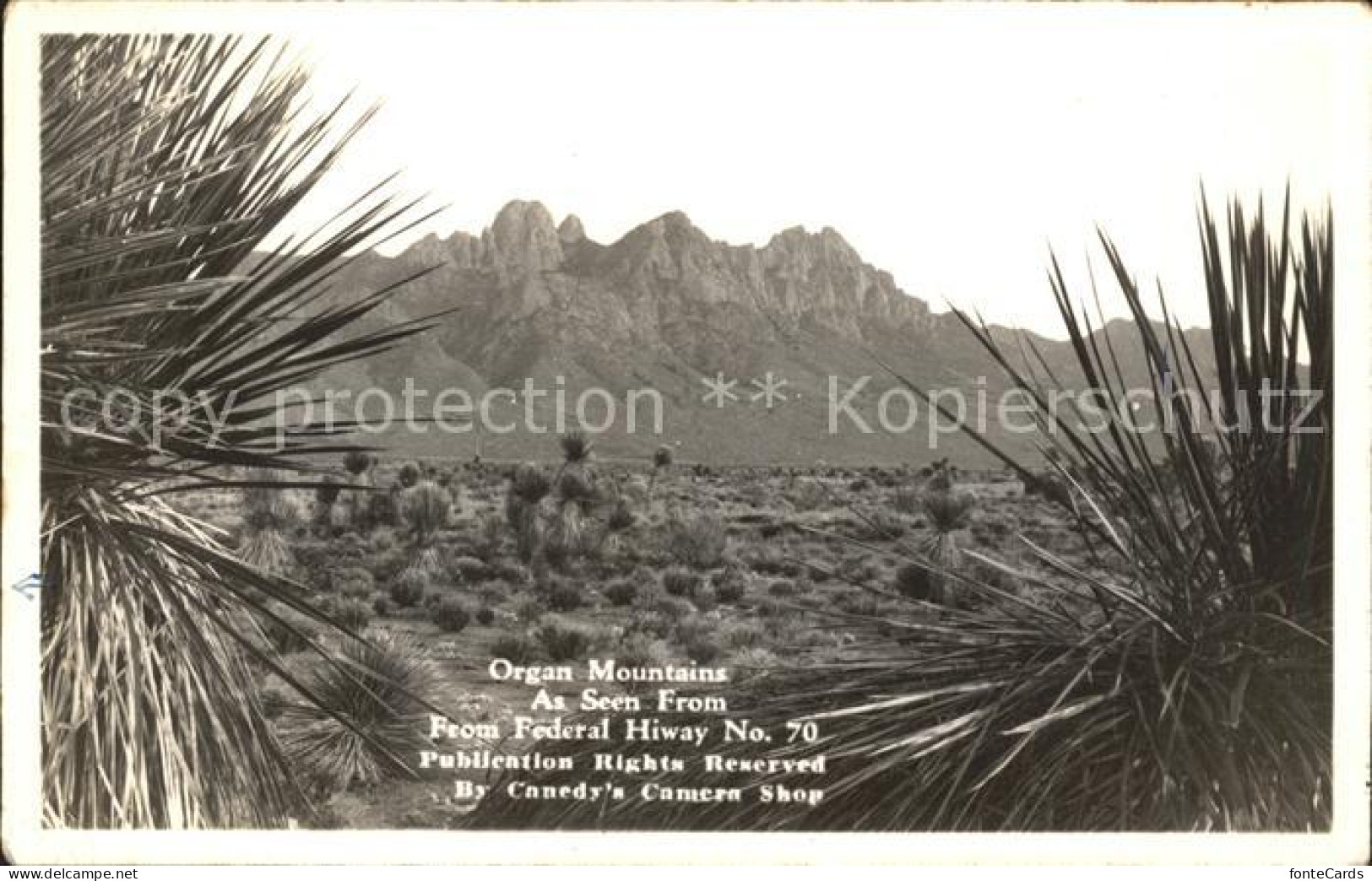 11705269 New_Mexico_US-State Organ Mountains Highway Nr. 70 - Sonstige & Ohne Zuordnung