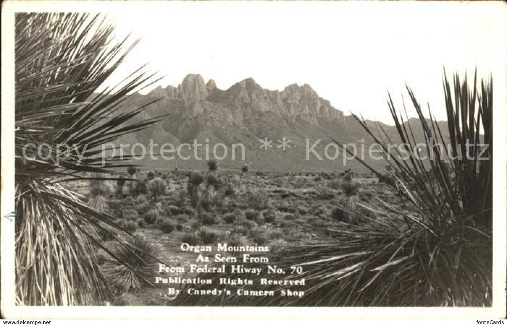 11705269 New_Mexico_US-State Organ Mountains Highway Nr. 70 - Other & Unclassified