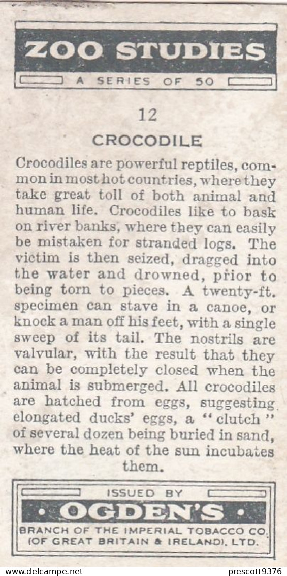 Zoo Studies 1937 - Ogdens Cigarette Card - 12 Crocodile - Ogden's