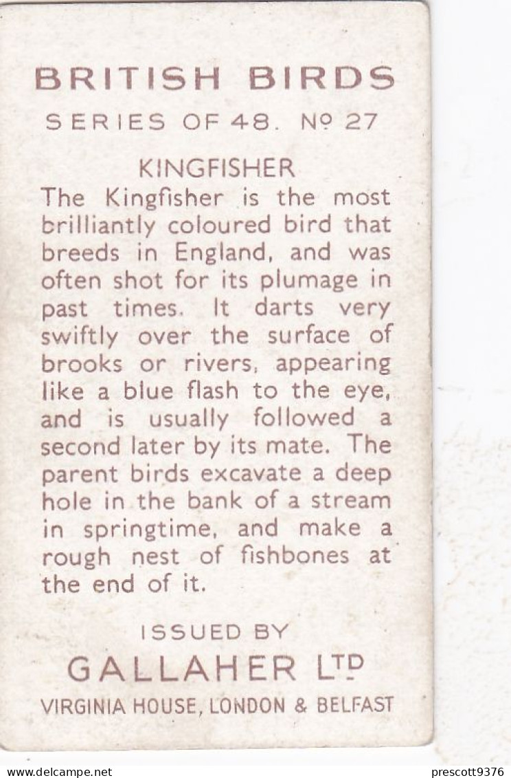 British Birds 1937 - Gallaher Cigarette Card - 27 Kingfisher - Gallaher