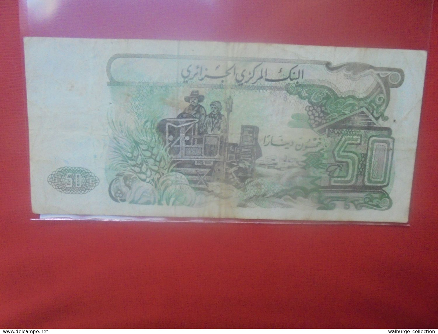 ALGERIE 50 DINARS 1977 Circuler (B.32) - Argelia