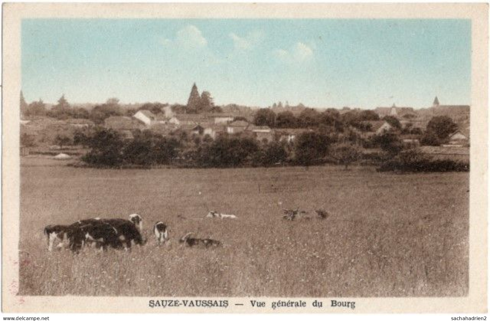 79. SAUZE-VAUSSAIS. Vue Générale Du Bourg - Sauze Vaussais