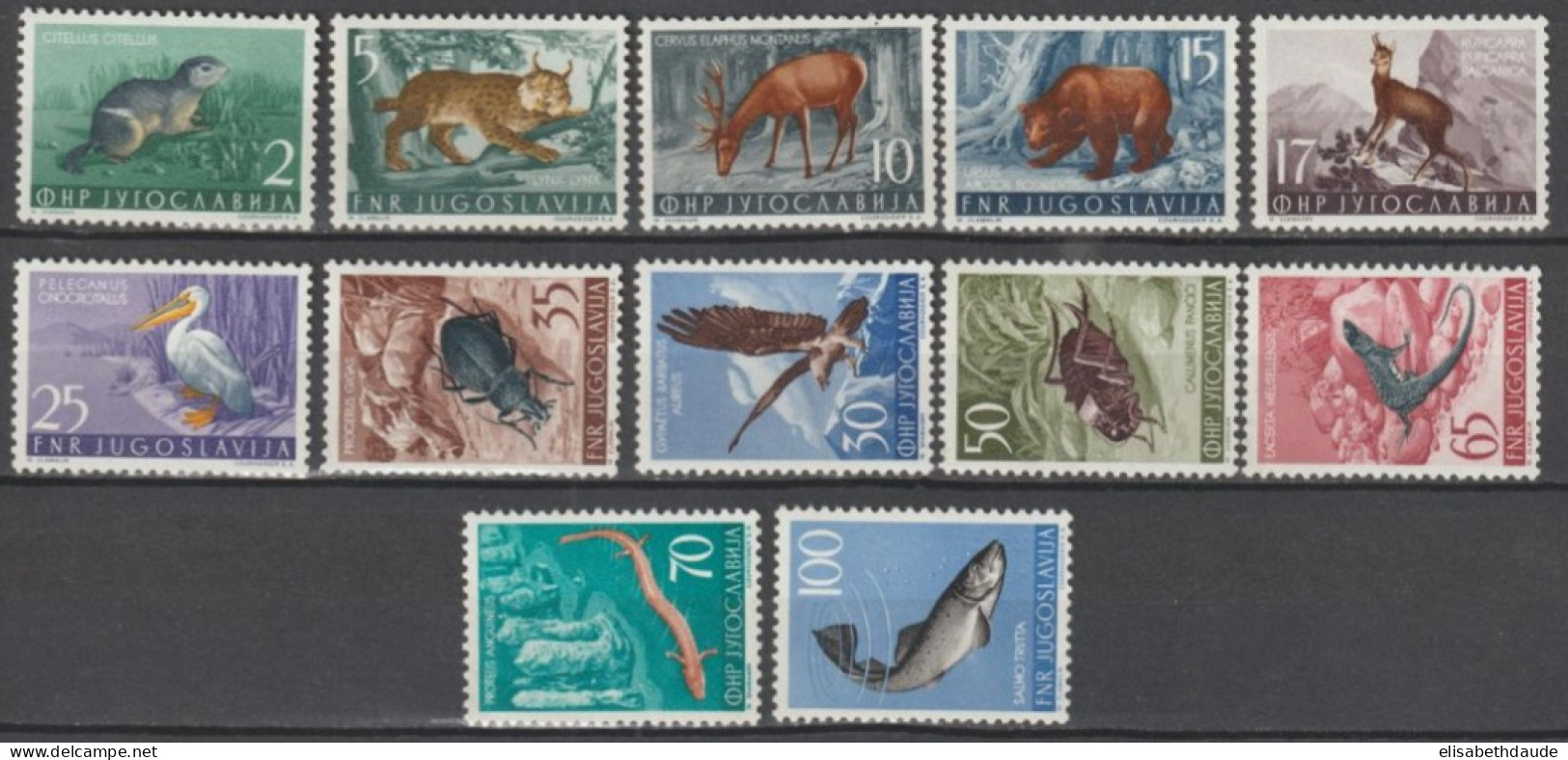 YOUGOSLAVIE - 1954 - YVERT N° 643/654 * MLH - COTE = 175 EUR. - FAUNE ET FLORE - Nuovi