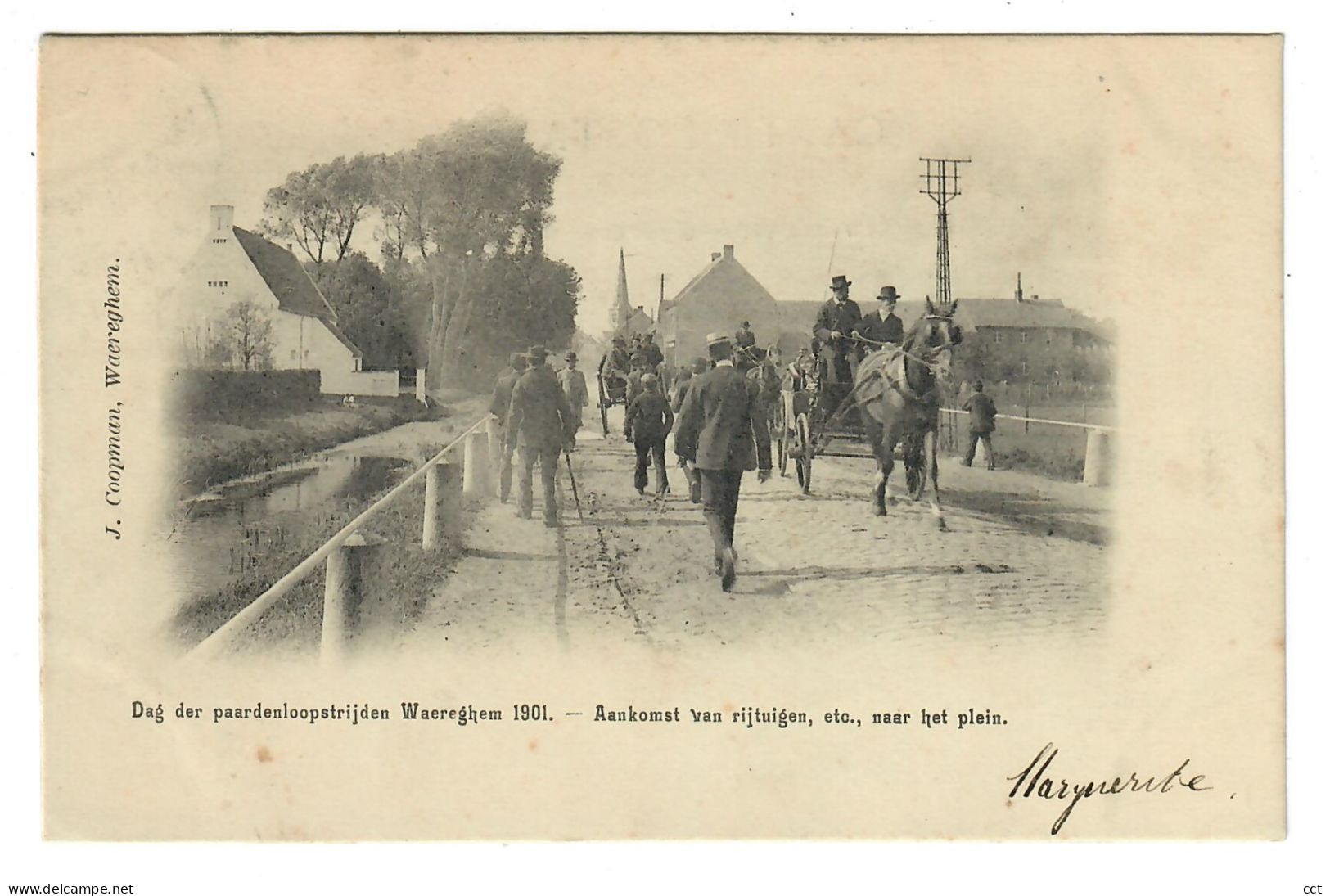 Waregem Dag Den Pardenloopstrijden Waereghem  1901   Aankomst Van Rijtuigen, Etc., Naar Het Plein - Waregem