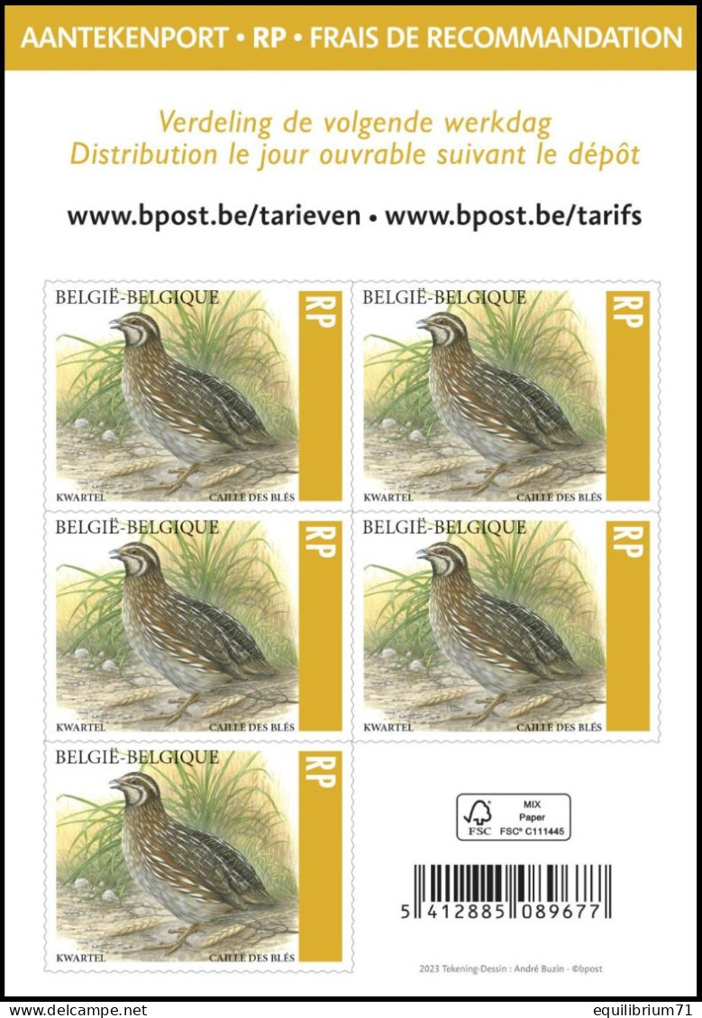 B182/C182**(5172) - Caille Des Blés / Kwartel / Wachtel / Quail / Coturnix Coturnix - BUZIN - RECOMMANDÉ / AANGETEKEND - Gallinacées & Faisans