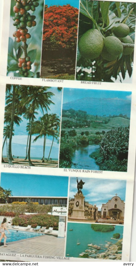 Souvenir Folder Of Puerto Rico - Puerto Rico