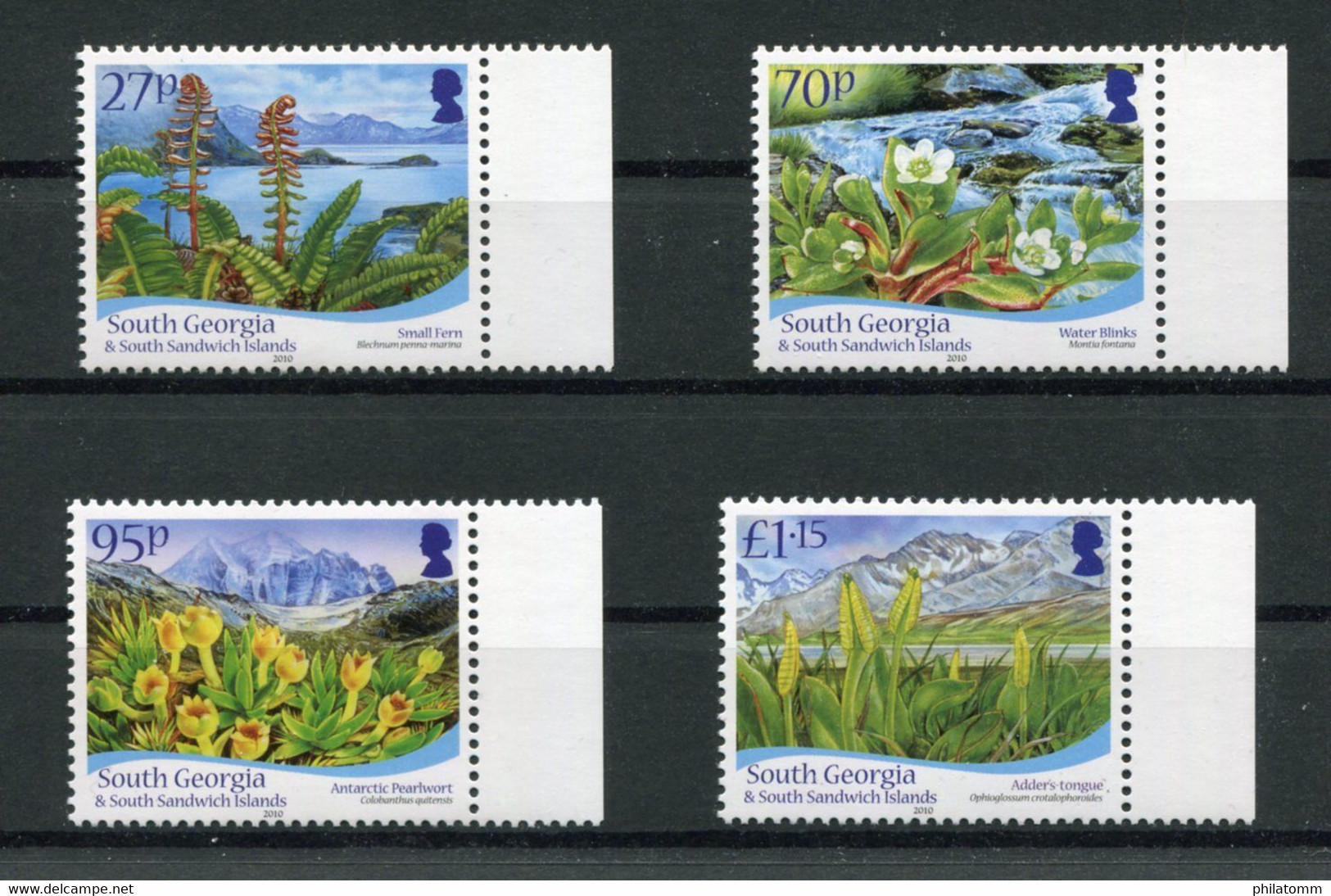 Südgeorgien - Mi.Nr. 515 / 518 - "Einheimische Flora" ** / MNH (aus Dem Jahr 2010) - Géorgie Du Sud