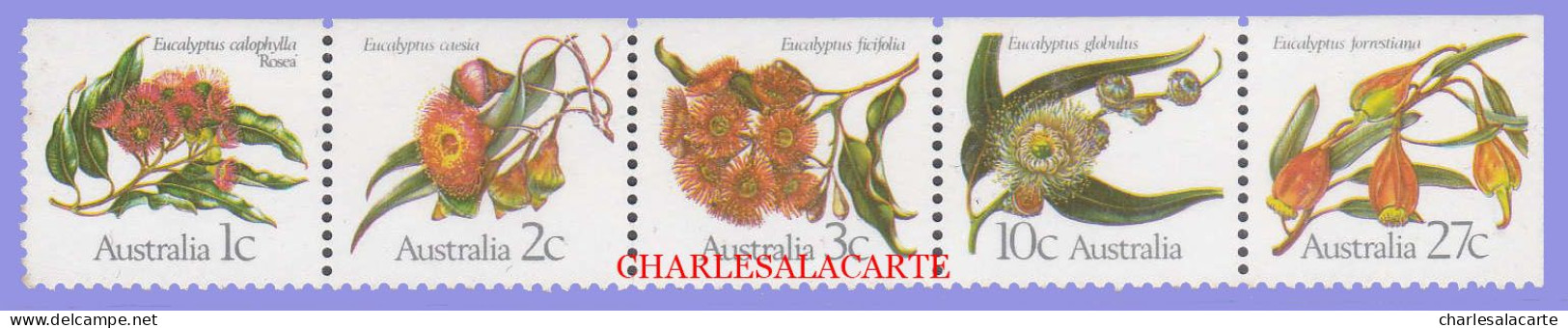 AUSTRALIA 1982  EUCALYPTUS FLOWERS  S.G. 870-874 U.M. /N.S.C. - Mint Stamps