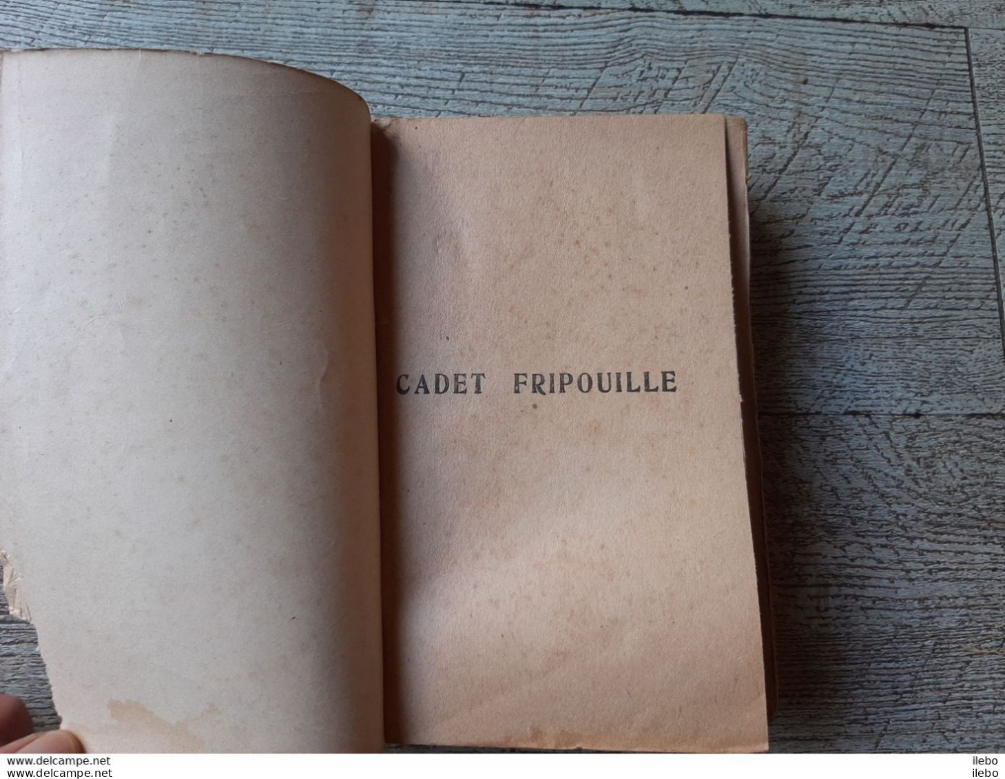 Cadet Fripouille Rocambole Aventures Inédites  Ponson Du Terrail Le Livre Populaire Fayard - Aventure