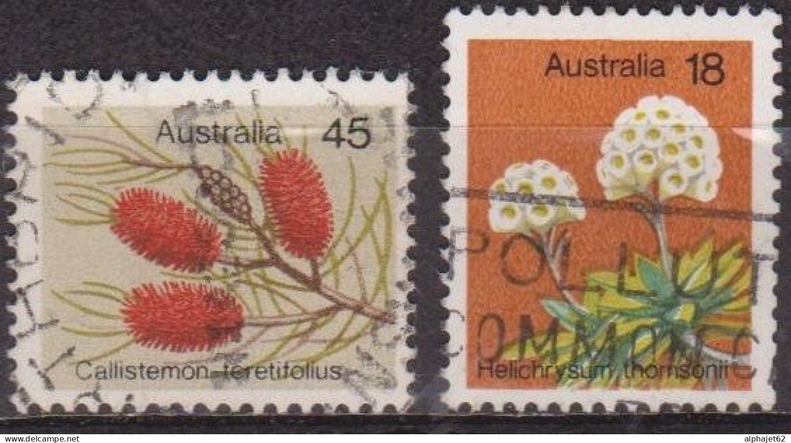 Flore - AUSTRALIE - Fleurs - Helichrysum, Callistemon - N° 576-577 - 1975 - Oblitérés