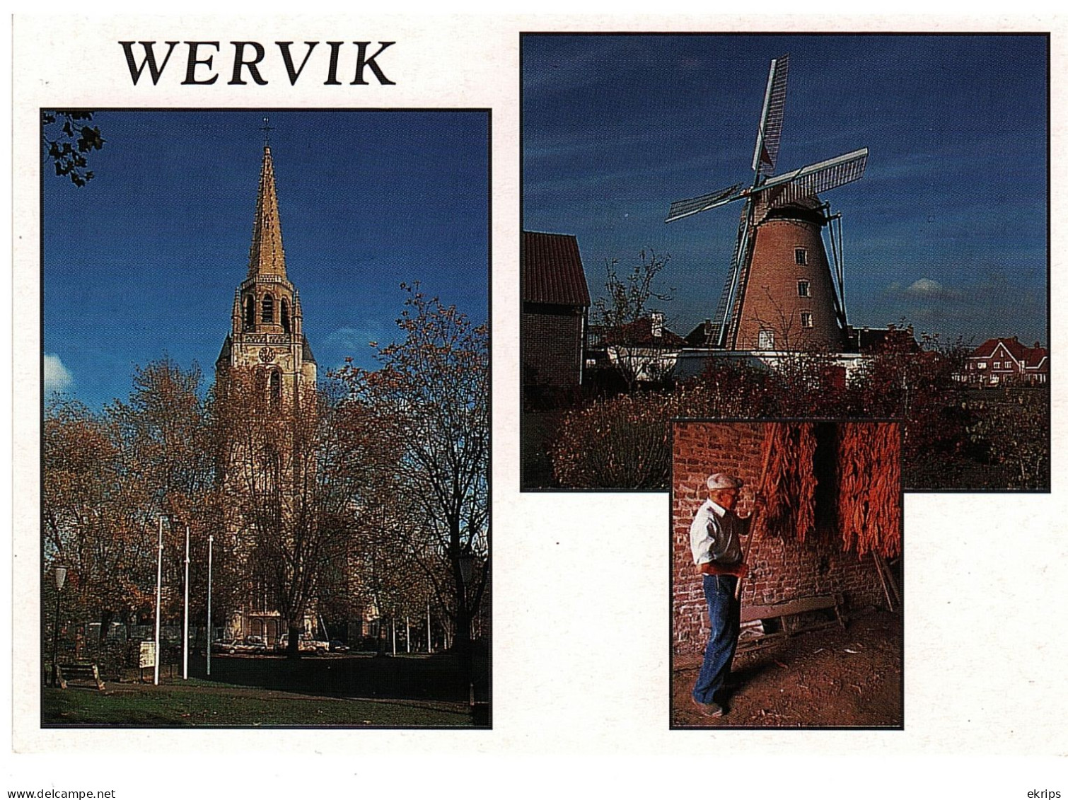 Wervik Multivue - Wervik