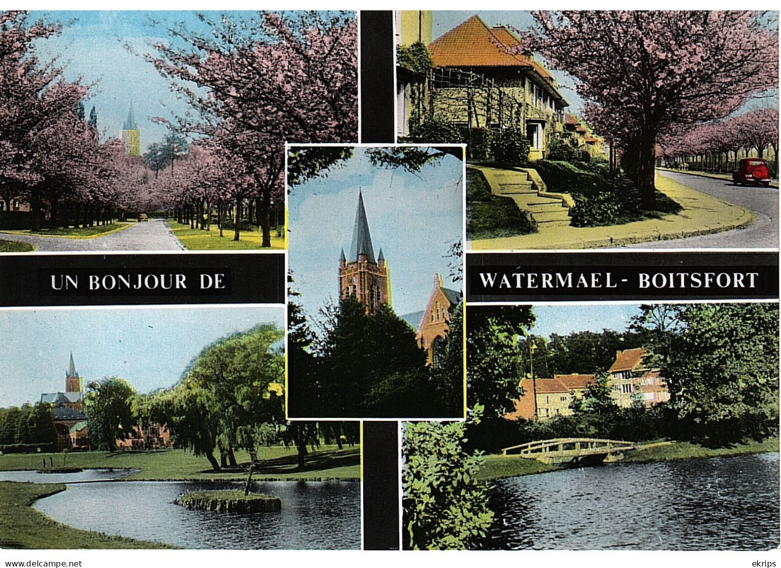 Un Bonjour De Watermael-Boitsfort - Watermael-Boitsfort - Watermaal-Bosvoorde