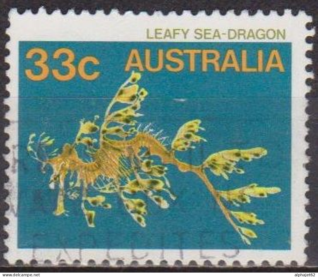 Poisson - AUSTRALIE - Faune Marine, Dragon Des Mers - N° 899 - 1985 - Gebraucht