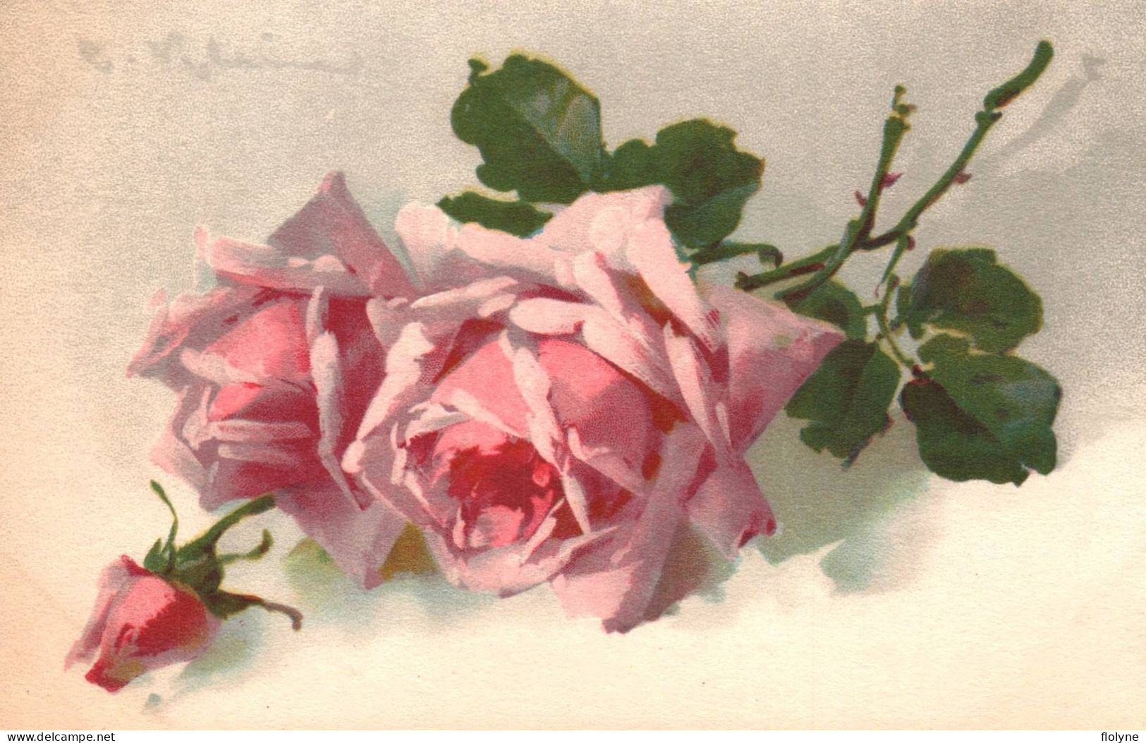 Catharina KLEIN - Cpa Illustrateur - Rose Fleur Flower - Klein, Catharina