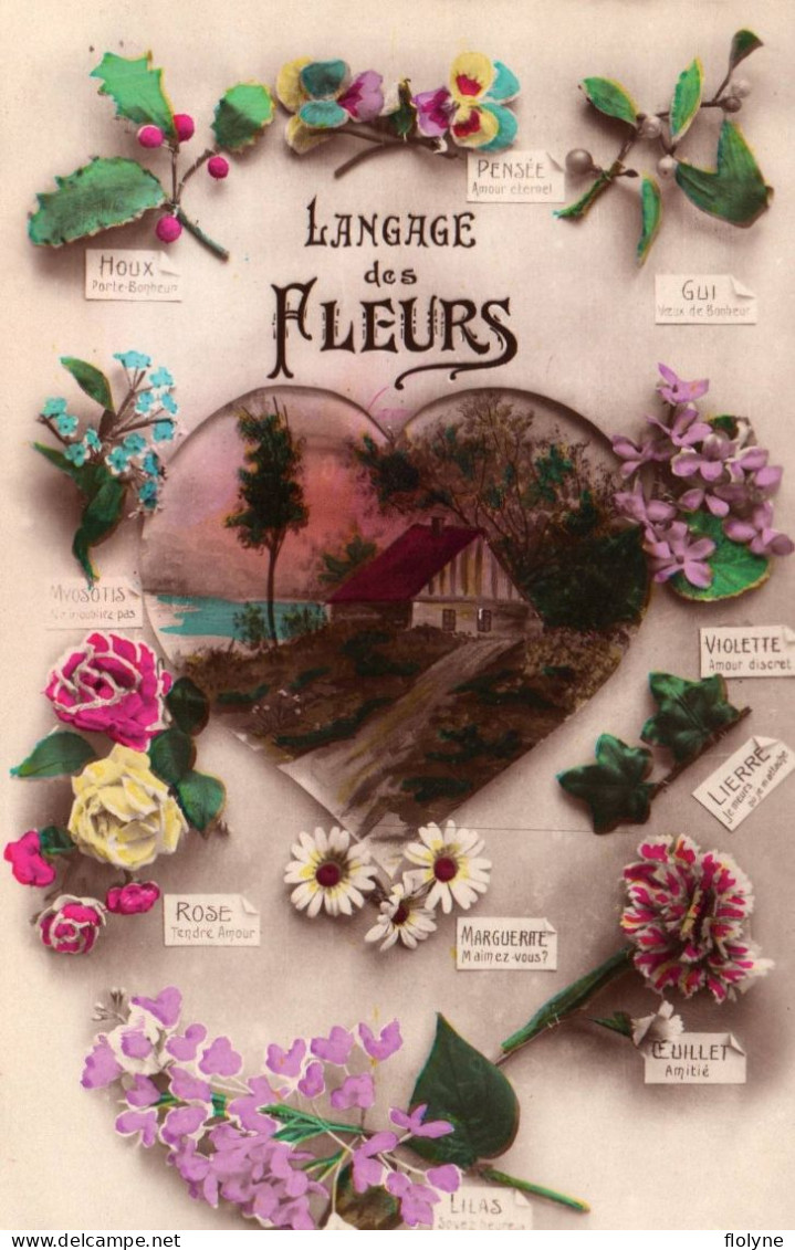 Fleur - Le Langage Des Fleurs - Flowers - Other & Unclassified