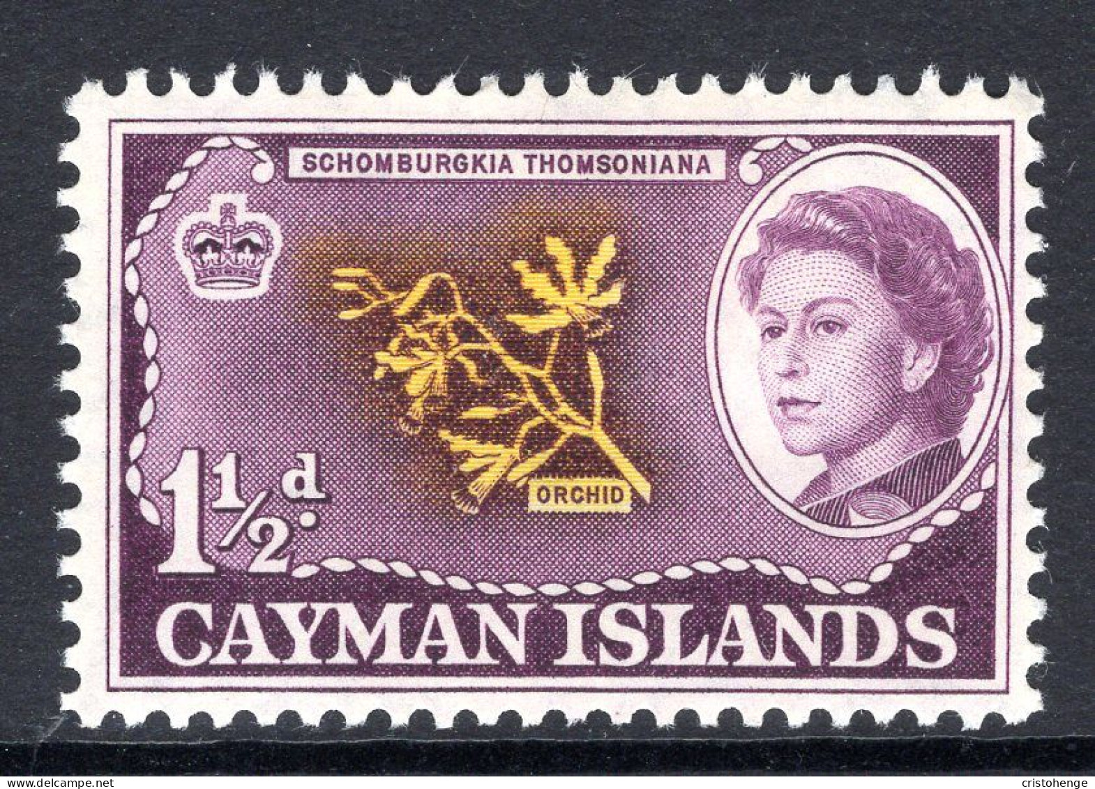 Cayman Islands 1962-64 Pictorials - 1½d Orchid HM (SG 167) - Cayman Islands