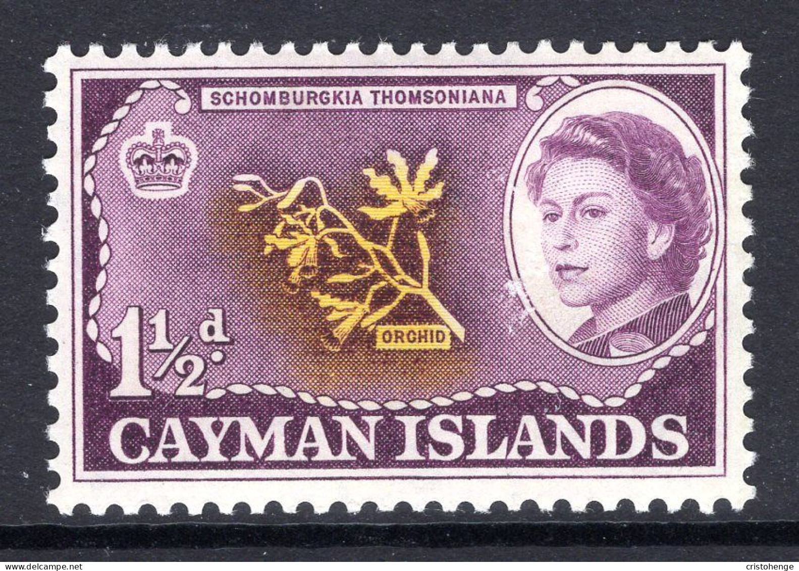 Cayman Islands 1962-64 Pictorials - 1½d Orchid HM (SG 167) - Cayman Islands