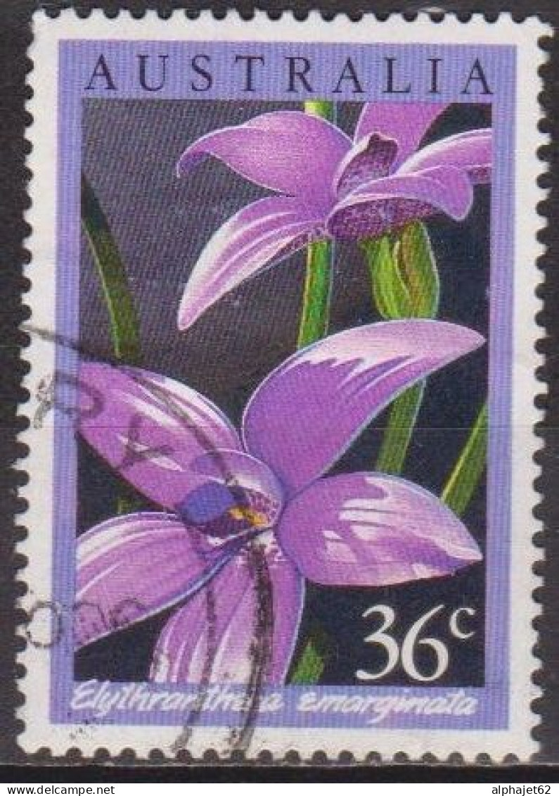 Fleurs, Orchidées - AUSTRALIE - Flore - N° 973 - 1986 - Gebraucht