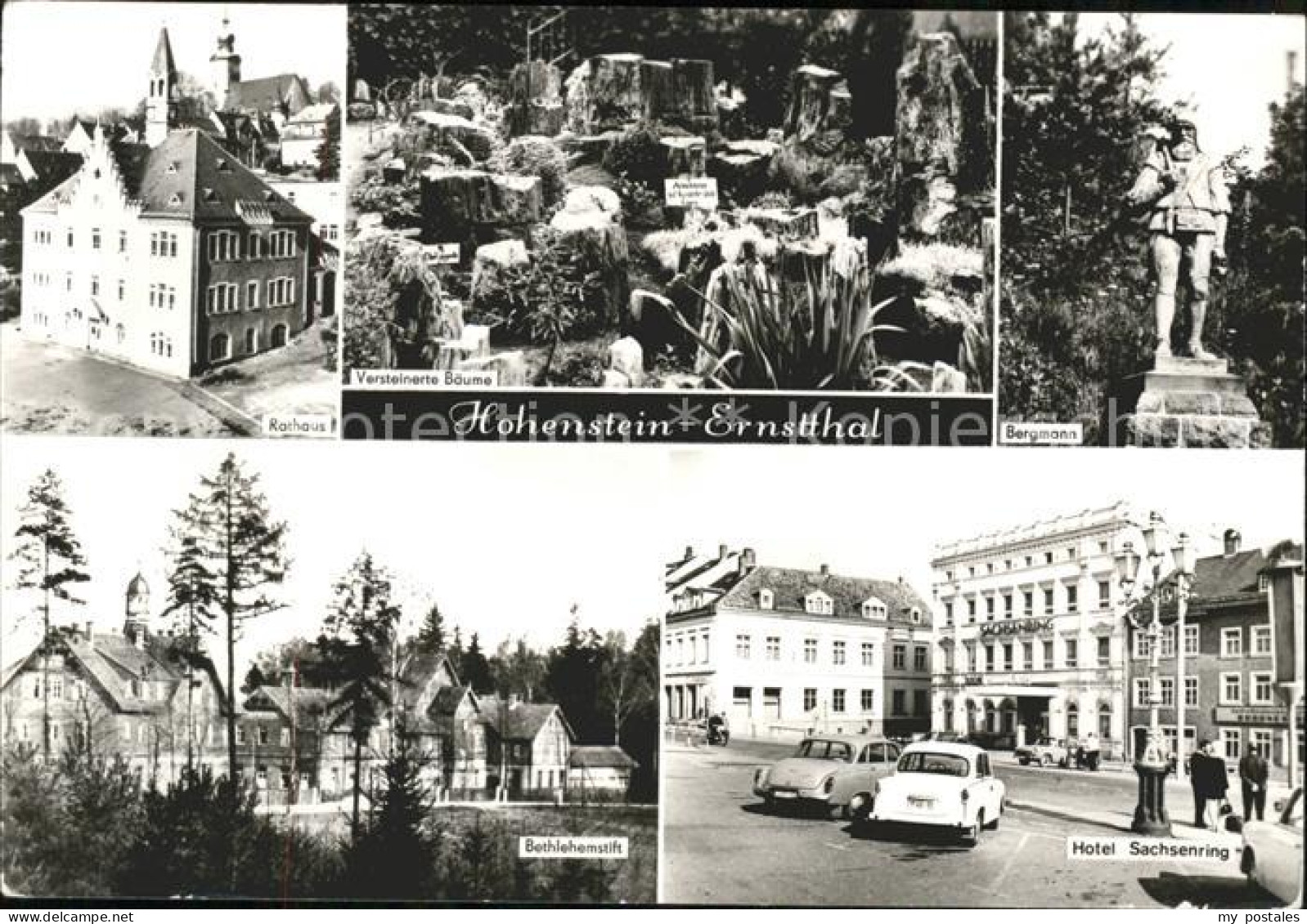 41612136 Hohenstein-Ernstthal Rathaus Versteinerte Baeume Bergmann Bethlehemstif - Hohenstein-Ernstthal