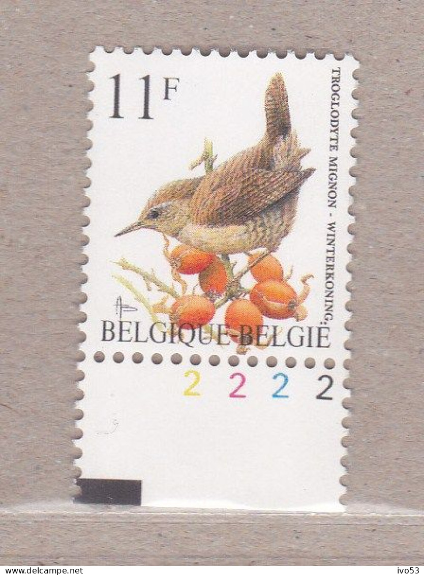 1992 Nr 2449** Plaatnummer:2.VOGELS.WINTERKONING / TROGLODYTE MIGNON. - 1991-2000