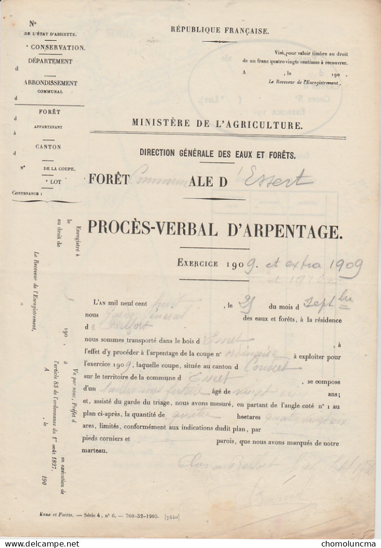 ONF 1909 Eaux Et Forêts Très Beau Plan Document D' Arpentage Forêt D'Essert Canton De Coudret 67 Belfort - Autres Plans