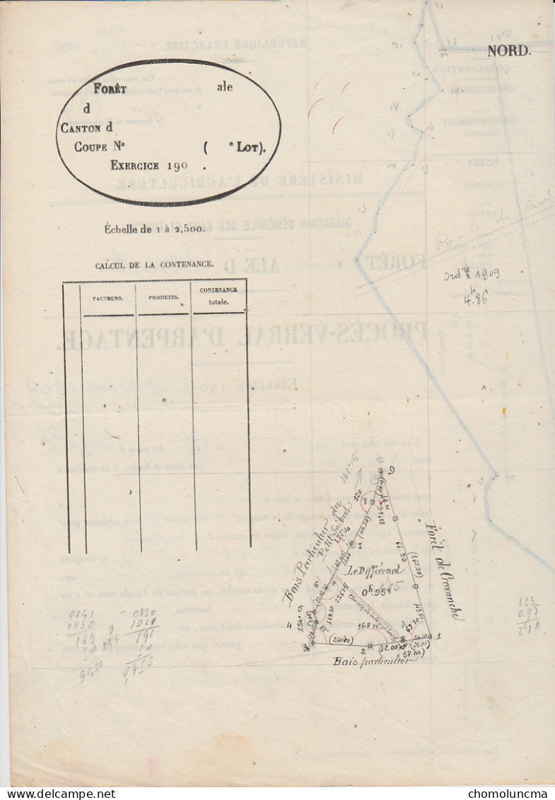 ONF 1909 Eaux Et Forêts Très Beau Plan Document D' Arpentage Forêt D'Essert Canton De Coudret 67 Belfort - Other Plans