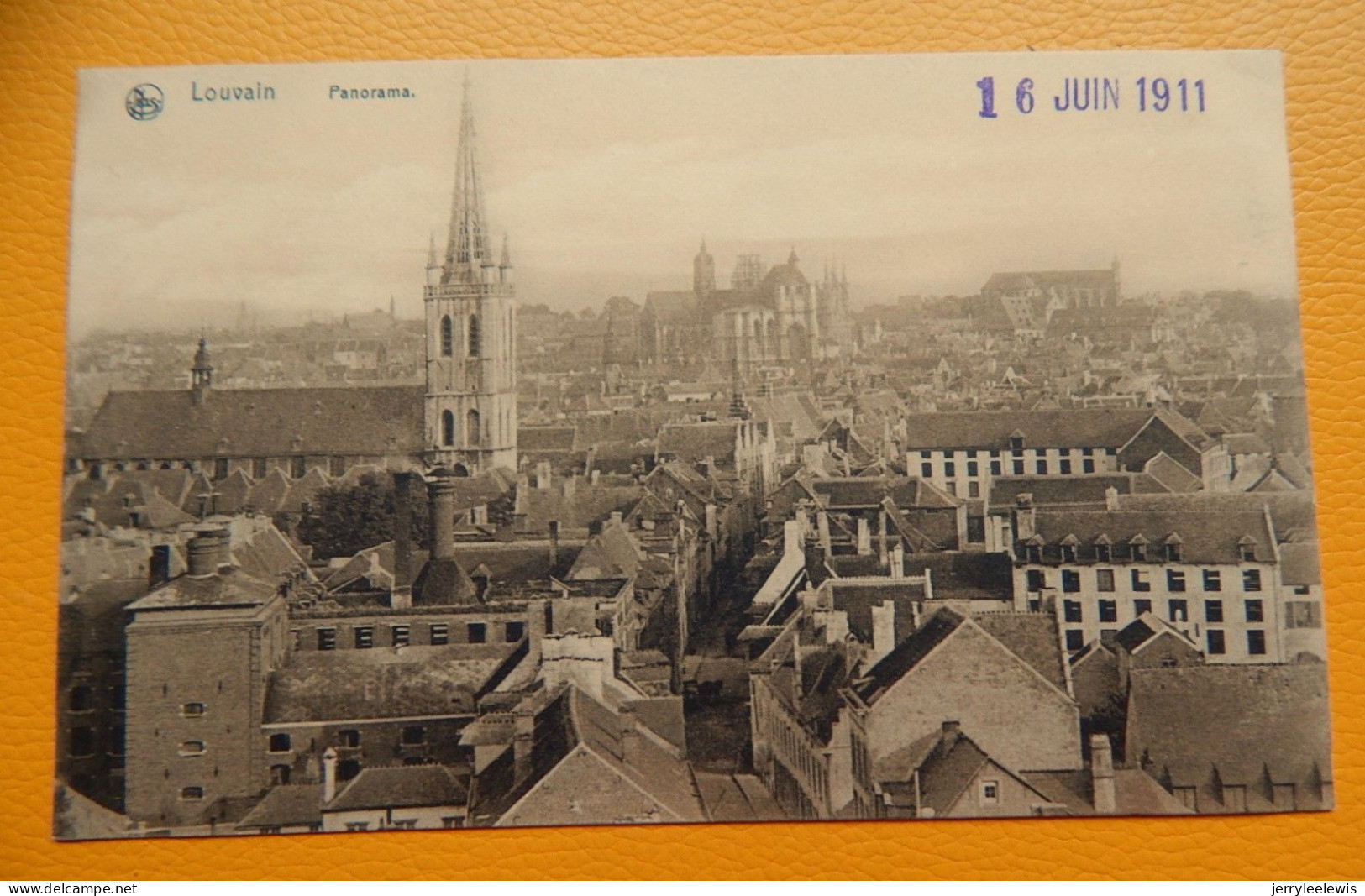 MEISE  - MEYSSE  -  Pont Rustique Du Parc De La Princesse Charlotte  - 1907 - Meise