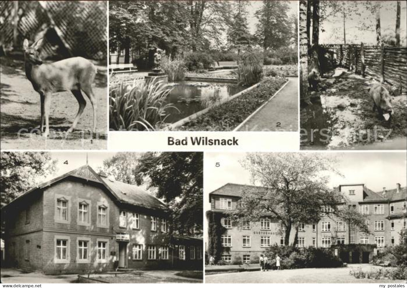 41610097 Bad Wilsnack Tierpark Parkanlagen Haus Birkengrund Goethehaus Bad Wilsn - Bad Wilsnack