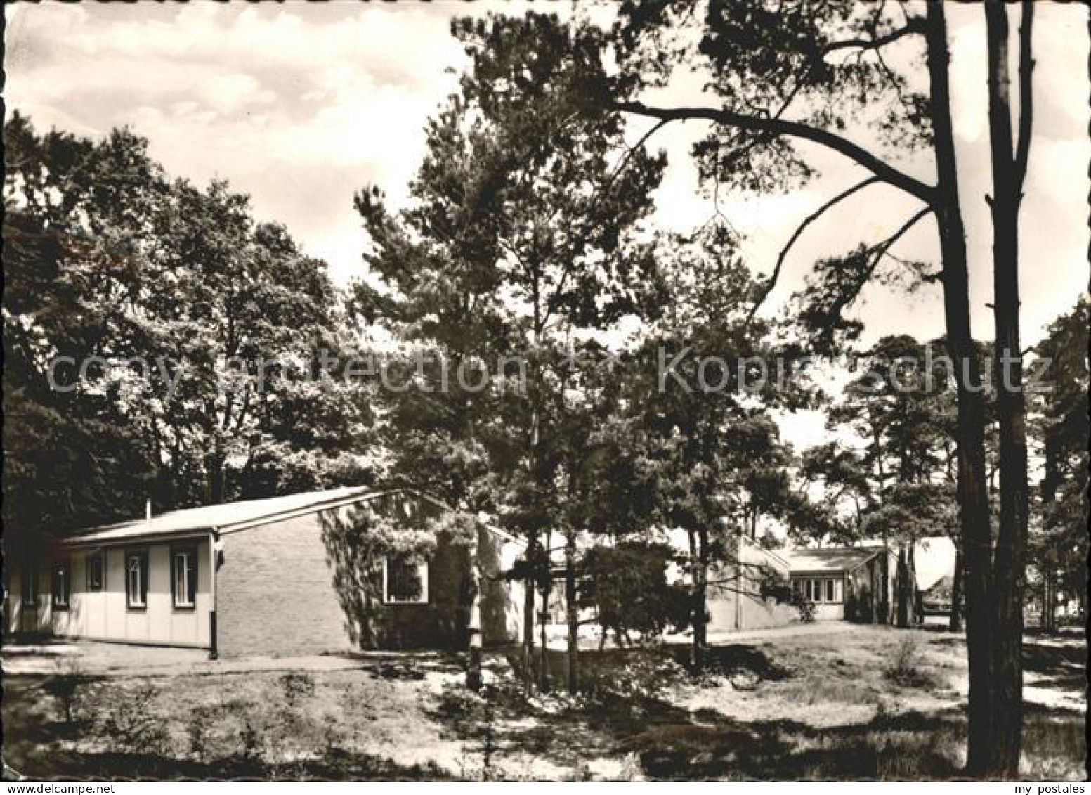 41609766 Mardorf Niedersachsen Haus Des Jugendrotkreuzes Neustadt Am Ruebenberge - Neustadt Am Rübenberge