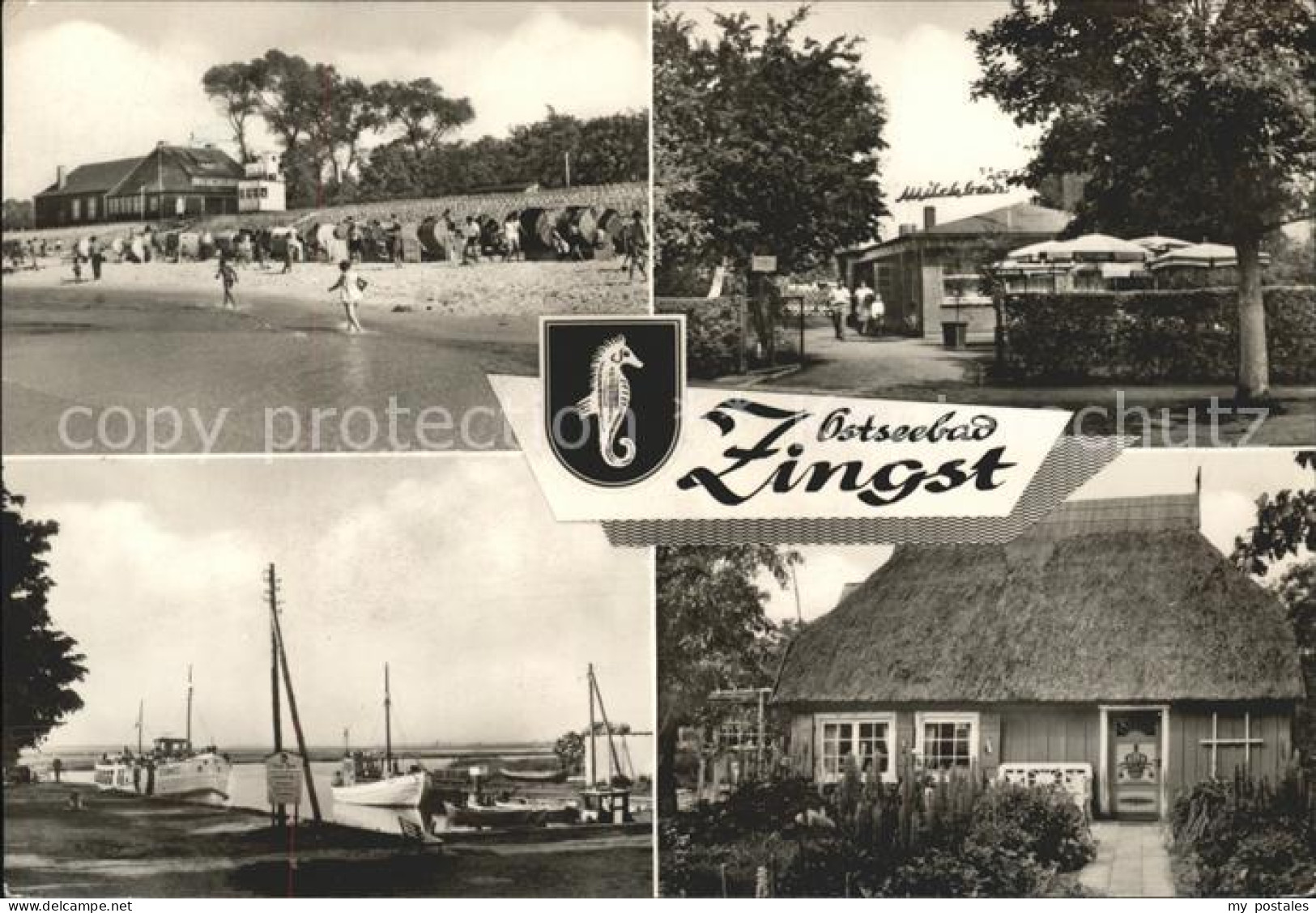 41608816 Zingst Ostseebad Strand Hafen Wappen Kate Zingst Darss - Zingst