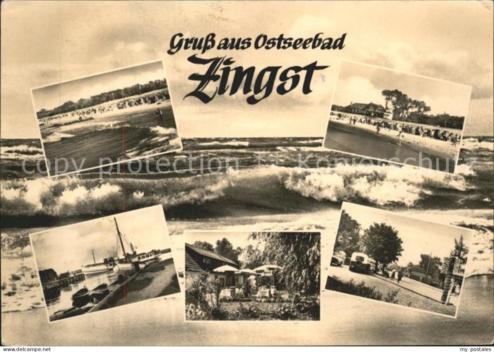 41608456 Zingst Ostseebad  Zingst Darss - Zingst