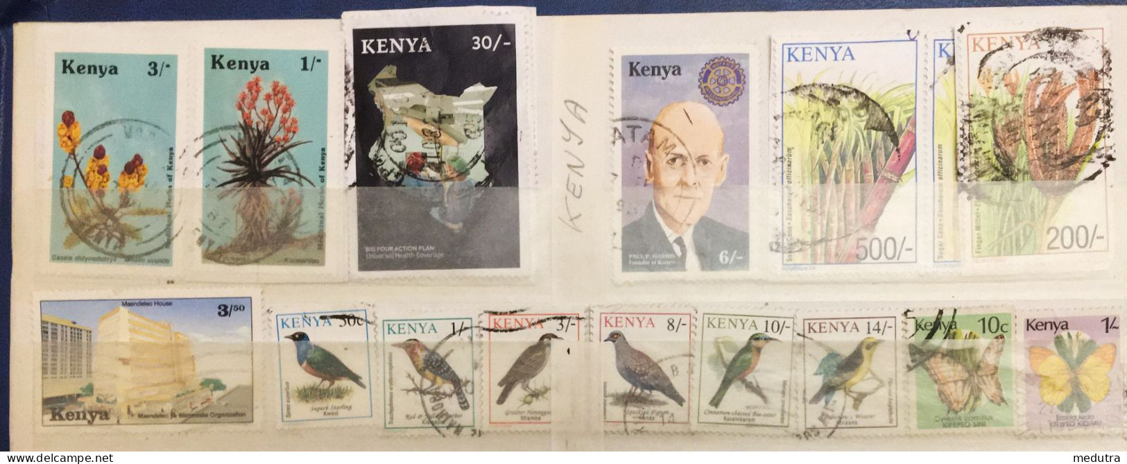 Afrique Kenya : Lot De 15 Timbres (voir Photo) - Kenia (1963-...)