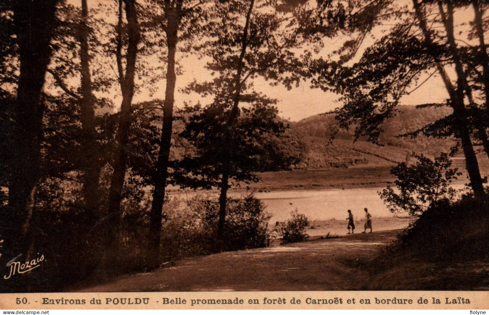 Le Pouldu - Environs - Belle Promenade En Forêt De Carnoët Et En Bordure De La Laïta - Route Chemin - Le Pouldu