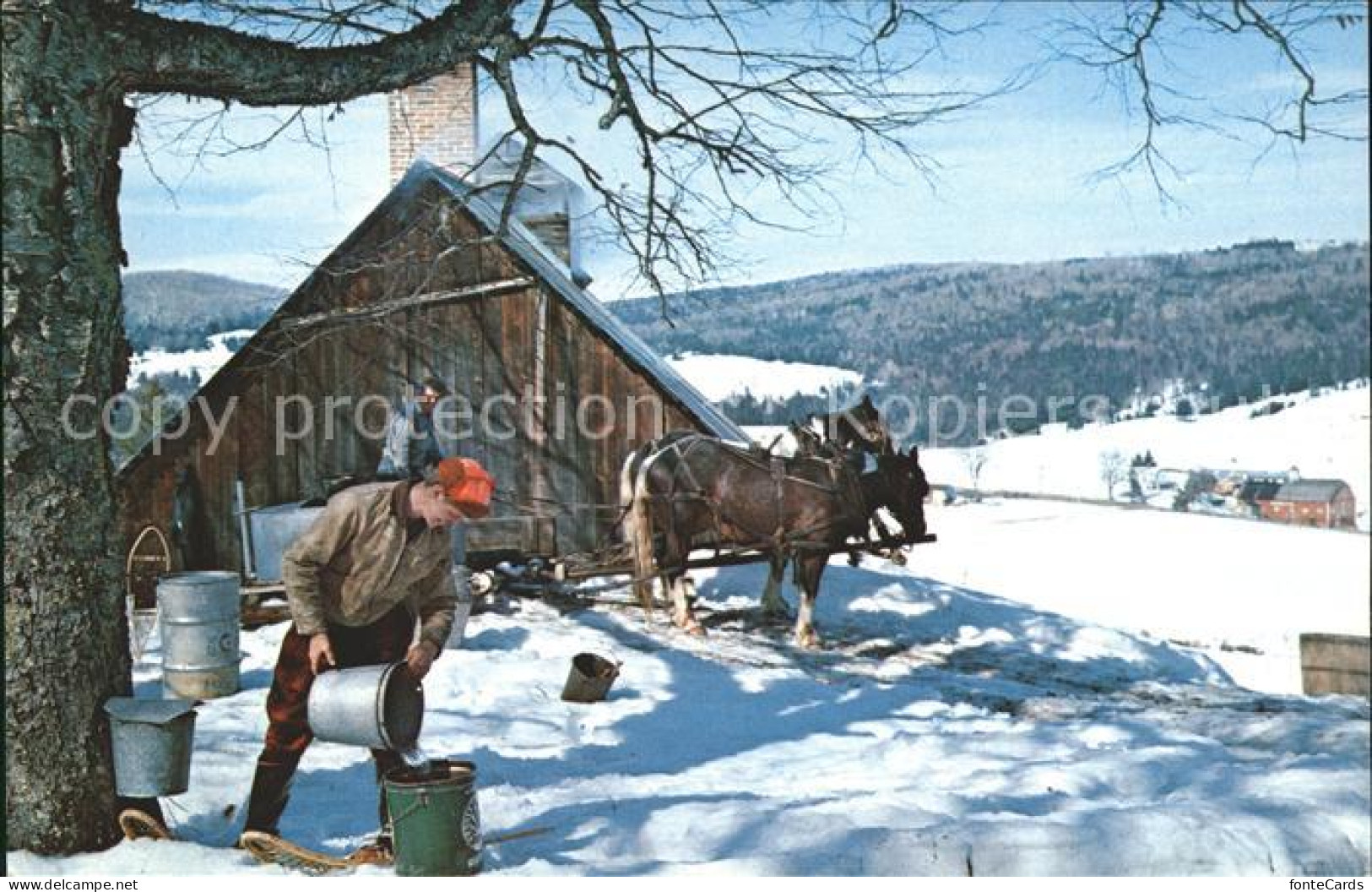 11693139 Vermont_US-State Maple Sugar Time Bauer Pferde Im Schnee - Autres & Non Classés