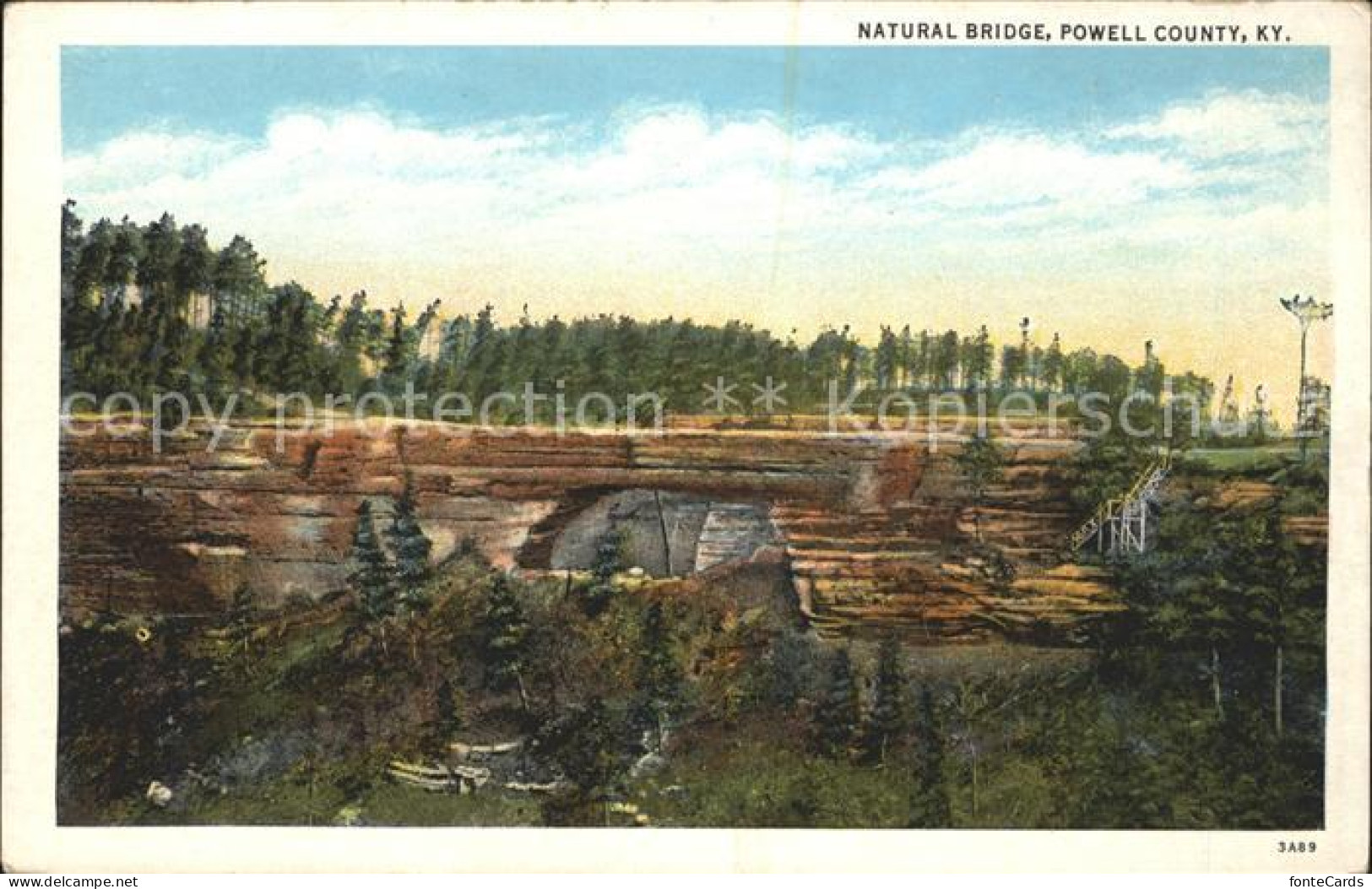 11686448 Kentucky_US-State Natural Bridge Powel County - Otros & Sin Clasificación