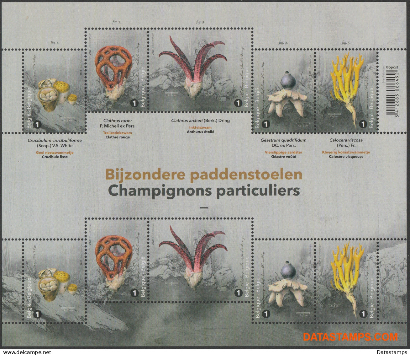 België 2020 - OBP:F 4962/4966, Sheet - XX - Mushrooms - Non Classés