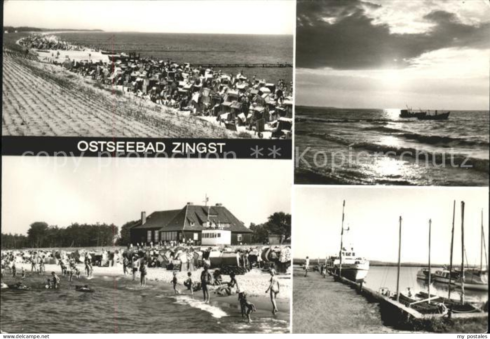 41608433 Zingst Ostseebad Strasn  Zingst Darss - Zingst