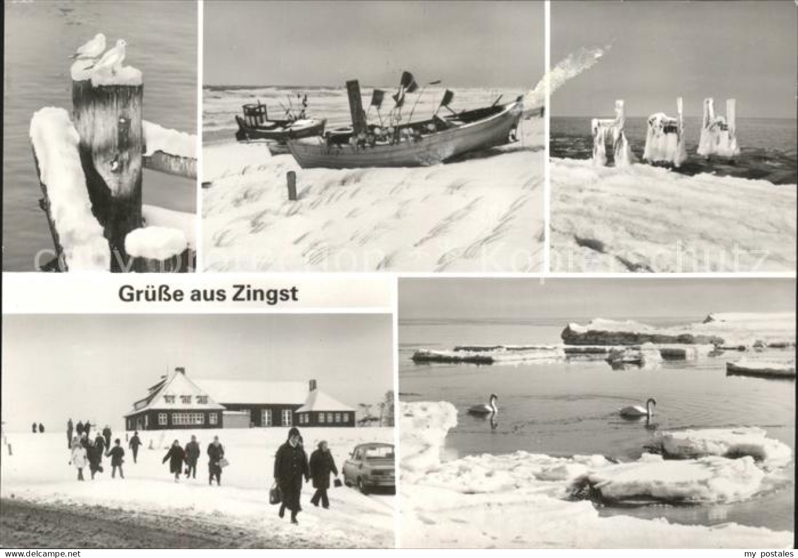 41608413 Zingst Ostseebad Strand In Schnee Und Eis Zingst Darss - Zingst