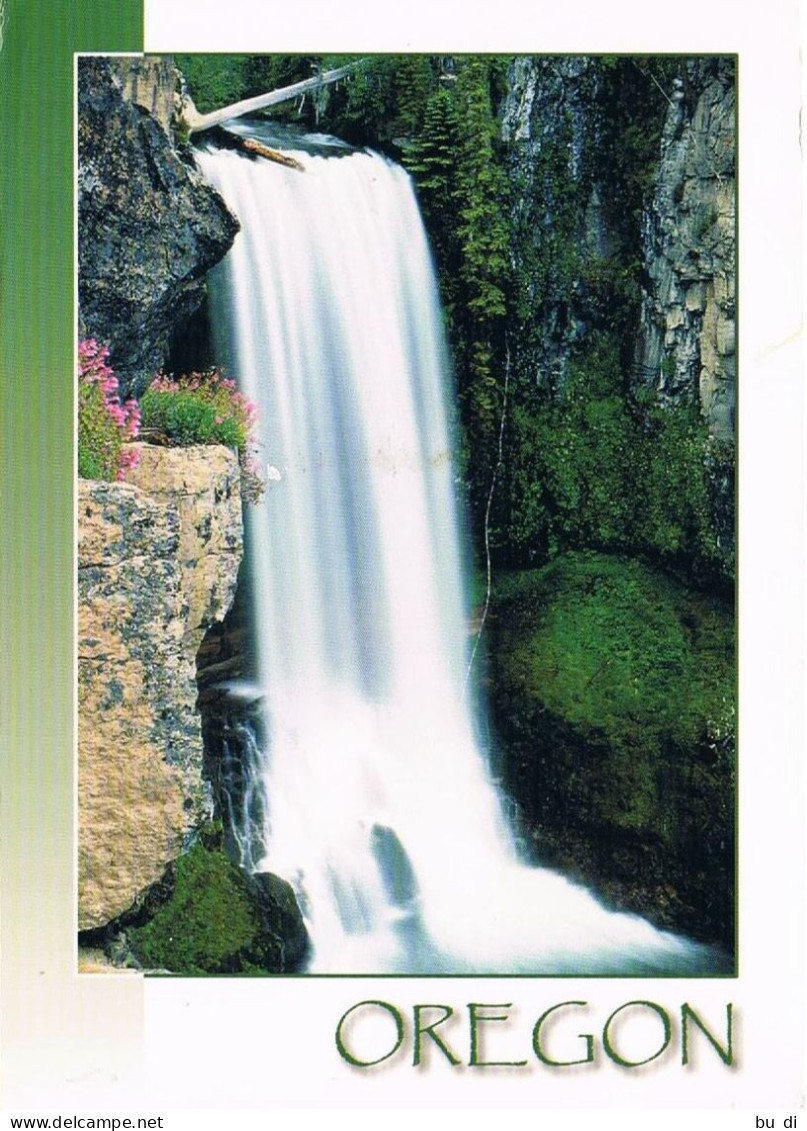 Ansichtskarte Oregon Wasserfall - Water Fall - Tumalo Falls - Other & Unclassified